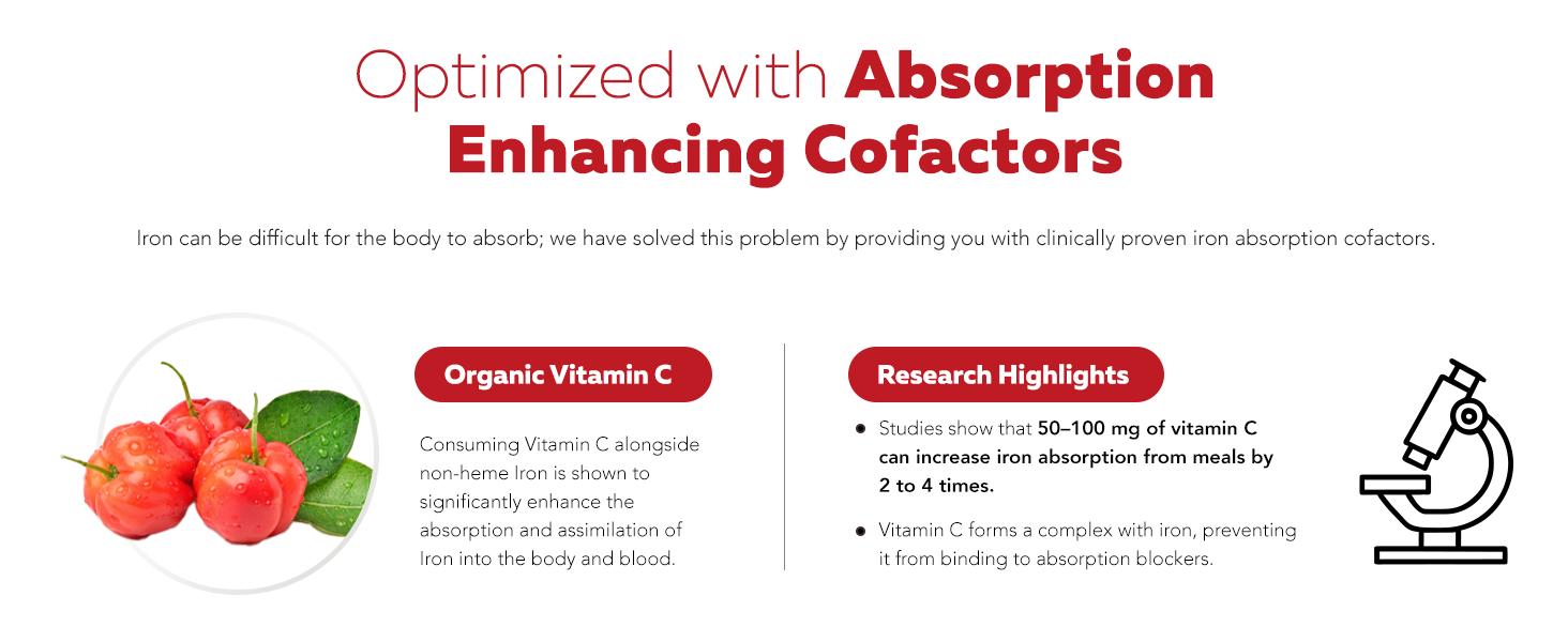 Liquid Iron Supplement | Organic Certified Berry Flavor – Boosts Vitamin C Absorption & Supports Healthy Iron Levels with Methyl B12, L-Methylfolate & B6 – 7.6 oz Healthcare Dietary