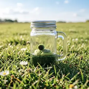 Serene Live Aquarium Plant Habitat - Marimo Moss Ball Ecosystem with Decorative Turtle (Non-Live), Self-Sustaining Closed Micro-Landscape for Desk (Includes LIVELY Moss Ball Pet)