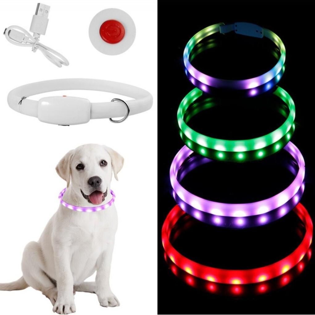 Night Safety Flashing Glow Pet Dog Collar