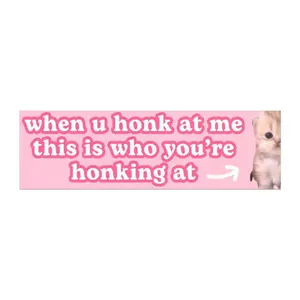 Kitty Car Magnet