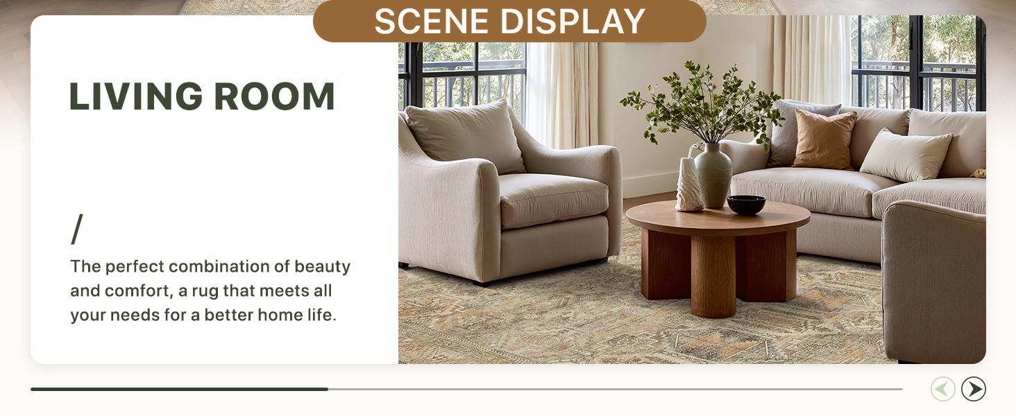 GENIMO Area Rugs, Ultra-Thin Foldable Low Pile Machine Washable Rug, Lightweight Machine Washable Rugs for Living Room Bedroom