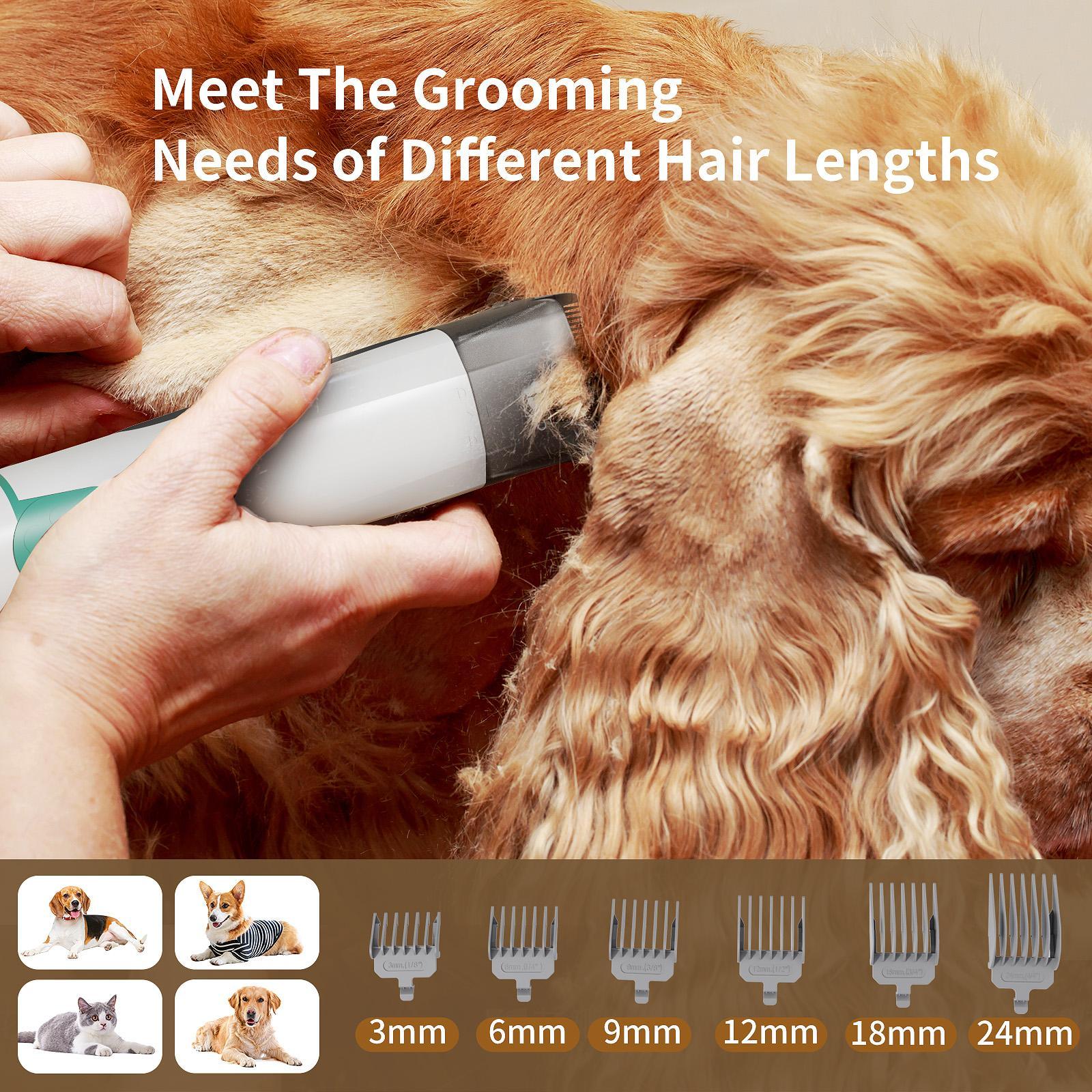 Pet Groomer 7-in-1 Grooming Vacuum for Dogs & Cats with Multi-pack Attachments for Shedding Grooming and Pet Care Effortless Grooming & Vacuuming 6 Precise Guide Combs Low Noise Design Pet Groomer 7-in-1 Grooming Vacuum for Dogs & Cats with Multi-pack Attachments for Shedding Grooming and Pet Care Effortless Grooming & Vacuuming 6 Precise Guide Combs Low Noise Design