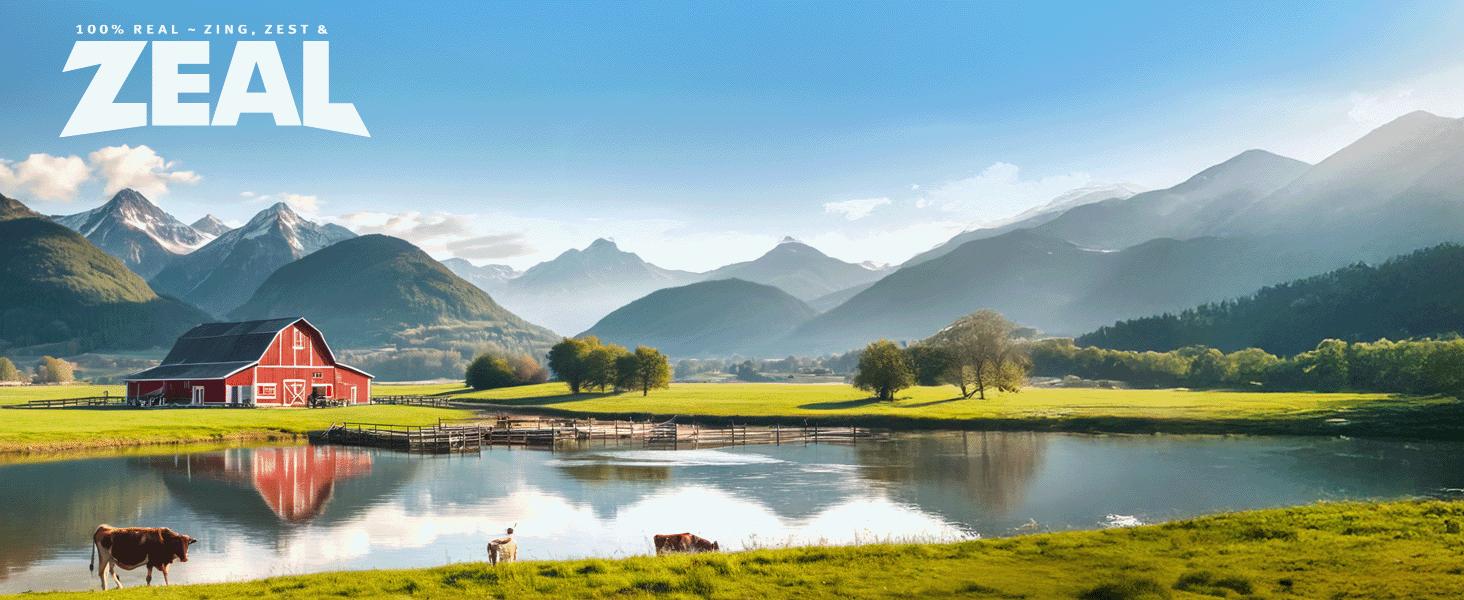 ZEAL Salmon & Duck Air-Dried Dog Food | 1lb Pack | Expires June & Nov 2026 | Grain-Free, High Protein, Healthy Joints & Coat