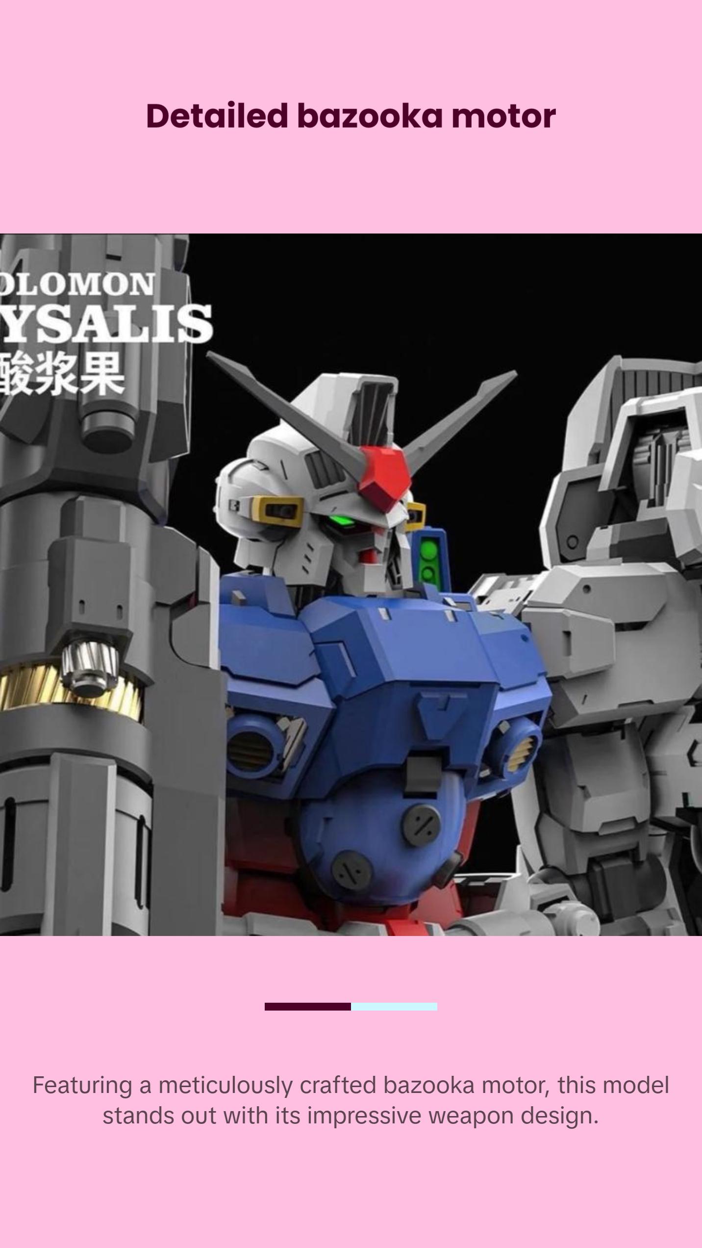 Solomon MG 1/100 Physalis GP02