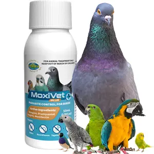 MoxiVet Plus for Pigeon, Birds and Small Animals (50ML)