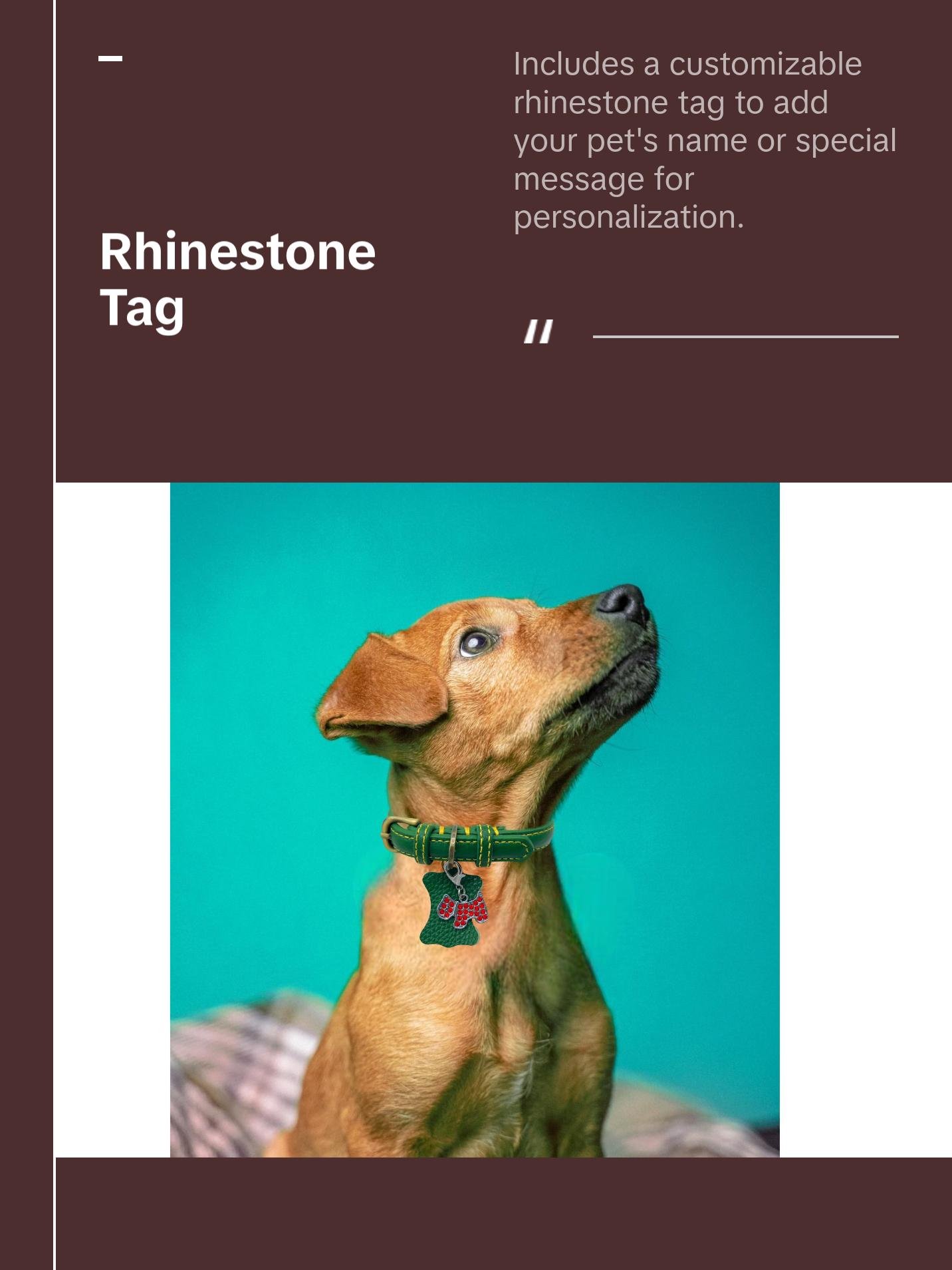 KLASSIC Handmade Leather Dog Collar with Rhinestone Tag