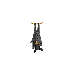 Hanging Bat