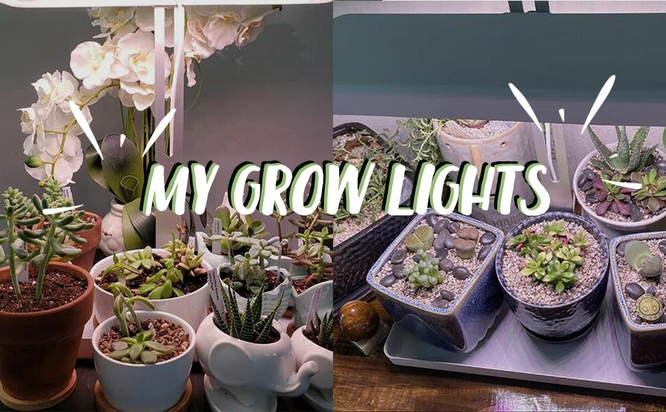 Indoor Plant LED Grow Light with Timer, Full Spectrum, Adjustable Height, Beginner Friendly