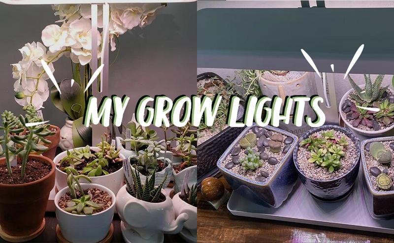 Indoor Plant LED Grow Light with Timer, Full Spectrum, Adjustable Height, Beginner Friendly
