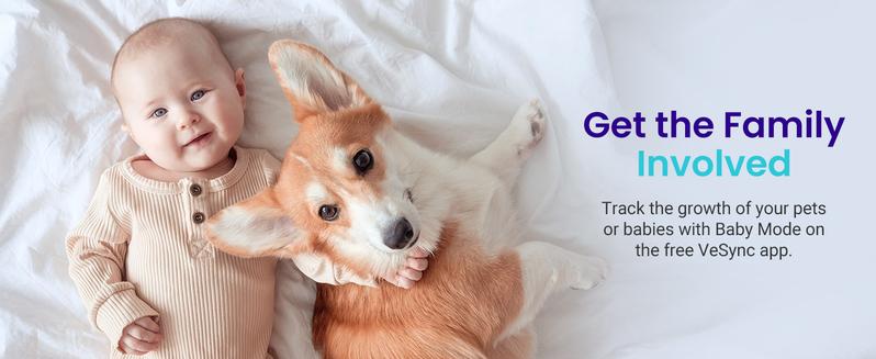 Etekcity Scale for Body Weight and Fat Percentage, Smart Digital LED Bathroom BMI Measurement, Accurate Bluetooth, 400lb Healthcare Weight Scale, Fit 8s