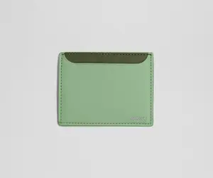 Card Case in Sea Green