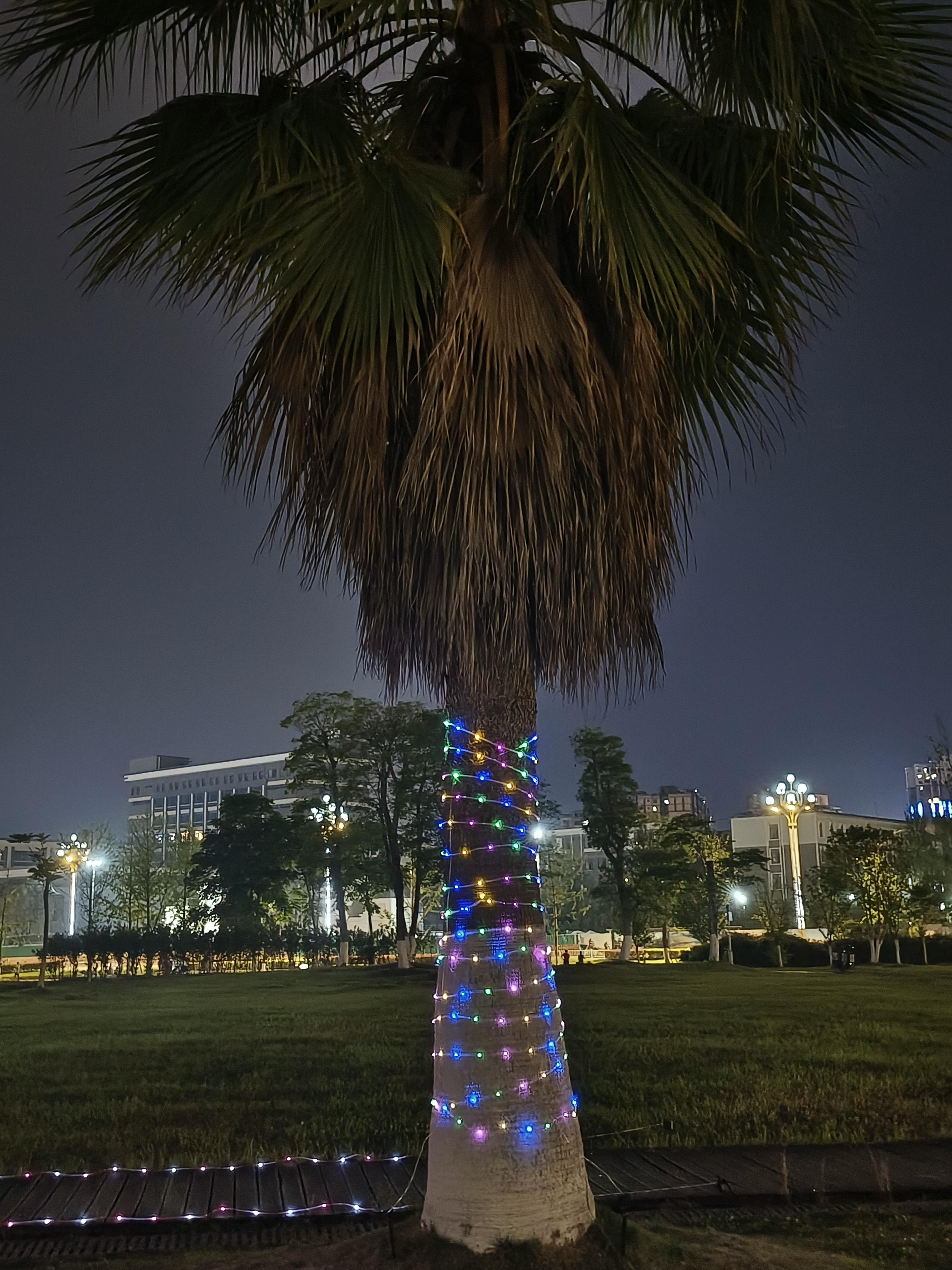 Solar Rope Light 33FT IP65 Multicolor Weatherproof Outdoor LED Copper String Light 100 LEDs 8 Modes for Christmas Party Garden Porch Yard Home Wedding Vacation New Year Decorations