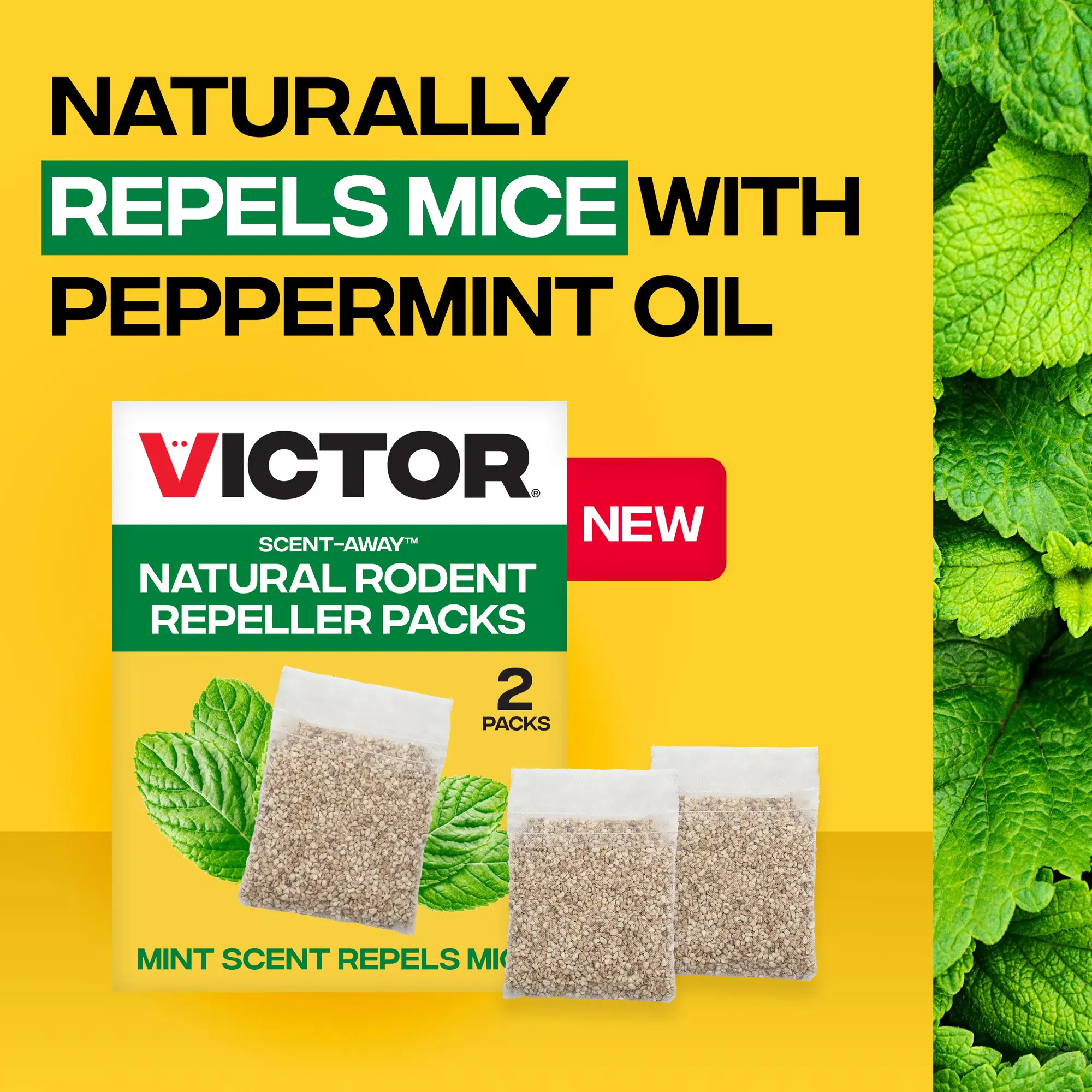 Victor Scent-Away Peppermint Mouse Repellent - Natural Scent-Based Rodent Repellent - Breathable Mesh Pouch Included - 2 Packs for Closets/Attic Home Care Supplies