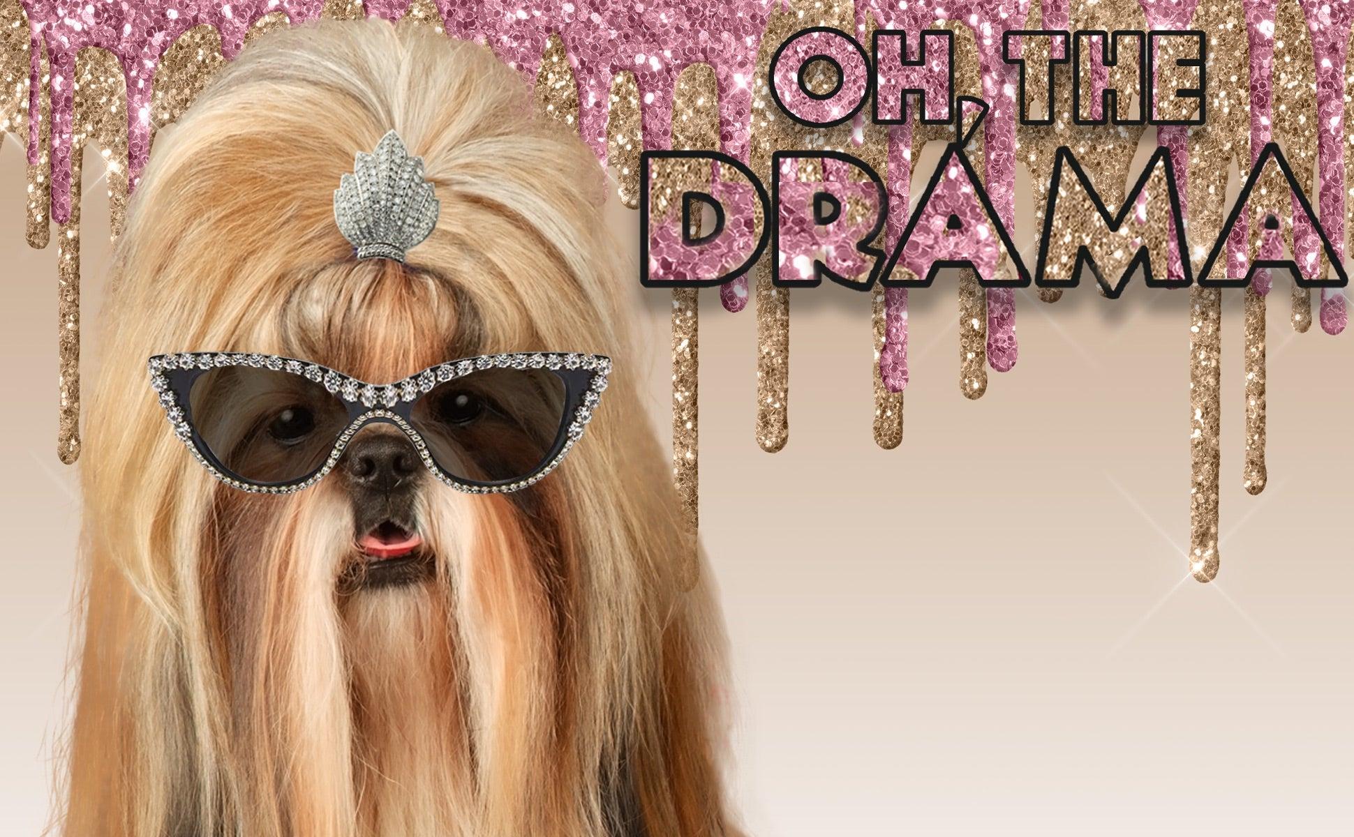 Drama Queen & Rich Bitch Shampoo & Soap