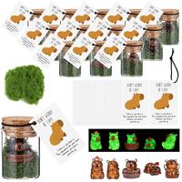 Luminous Capybara Jar, 20 Sets