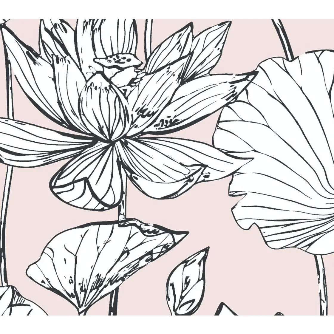 NextWall Lotus Floral Peel and Stick WallpaperRoll