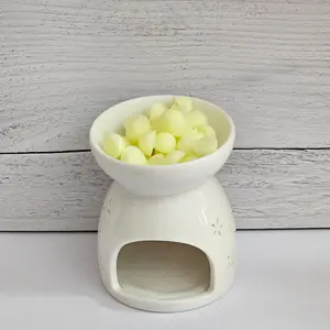 Aroma Dots - Dandelion Wishes - Floral Scented Wax Melts - Tropical Scent - Coconut Scent - Home Decor Wax Melts Home Fragrance Lily of the Valley Scent Flameless Candle Hand Poured Fresh Greenery