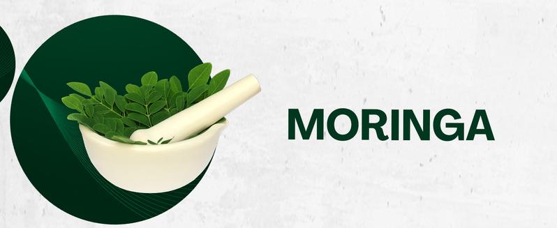 Zoyava Soursop Bitters – Flavored, Extra Strength All-in-One Dietary Supplement Drops, Made in USA – 60mL Nutrition Liquid