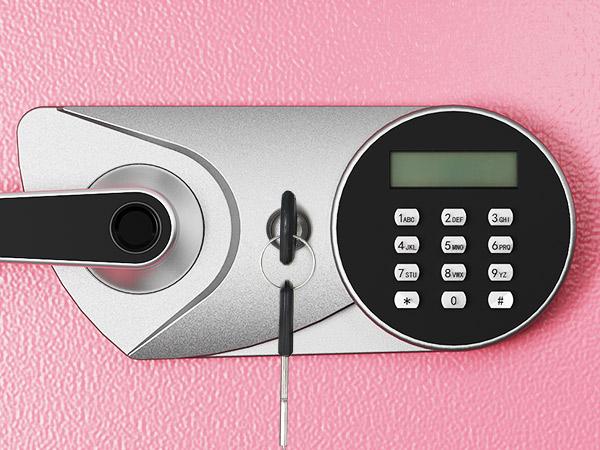 BlackSmith Home Biometric Safe 1.0 Cub Quick Access Fingerprint Lock Box With Keys Keypad Wall Mount Cabinet Safe Secure Money Jewelry with Fireproof Bag Mute Mode LED Light, Pink