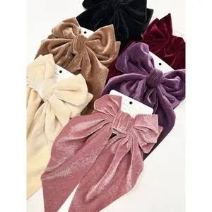 Assorted Large Velvet Bow Clips