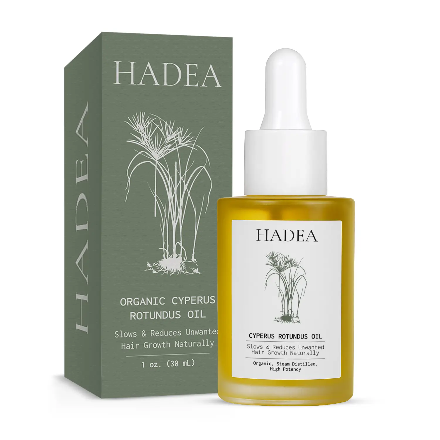 HADEA Cyperus Rotundus Oil - 100% Organic, High Potency, Steam Distilled, Improved Smell, Reduces Hair Regrowth