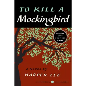 To Kill a Mockingbird Paperback – Classic American Literature Novel, School Reading Book on Justice, Morality & Social Issues