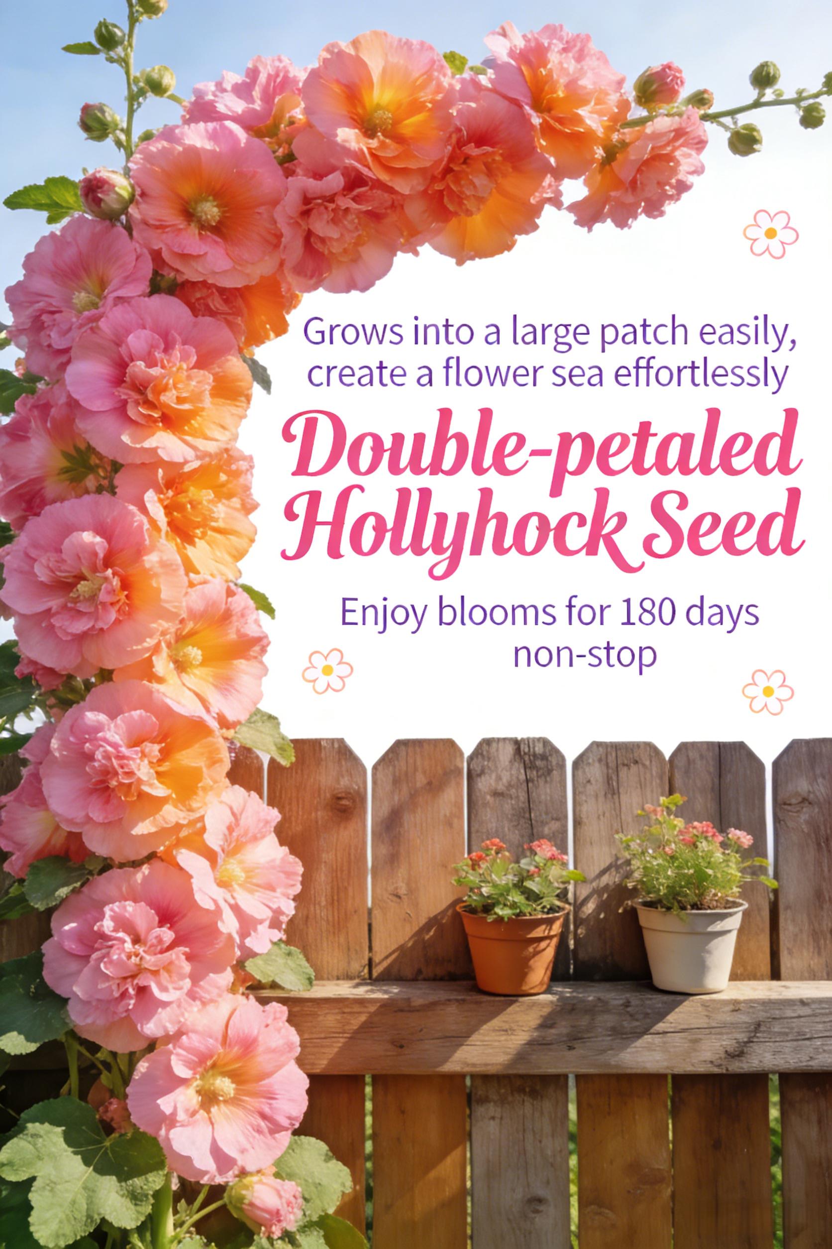 200PCS Double Hollyhock Seeds ‘Radiant Rose’ – Mixed Color Heirloom Flower Seeds, Hardy Biennial Tall Garden Flowers for Planting