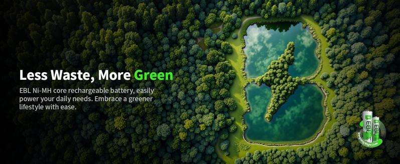 EBL Ni-MH AA AAA Rechargeable Batteries Combo