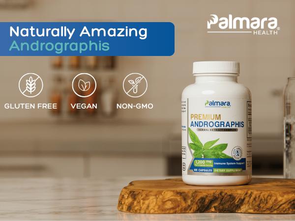 Andrographis Ancient Herb for Immune Support – 1,200mg per Serving, 120 Vegan Capsules | Palmara Health