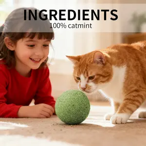 Big Mac Catnip Ball (10cm) – Oversized Interactive Cat Toy