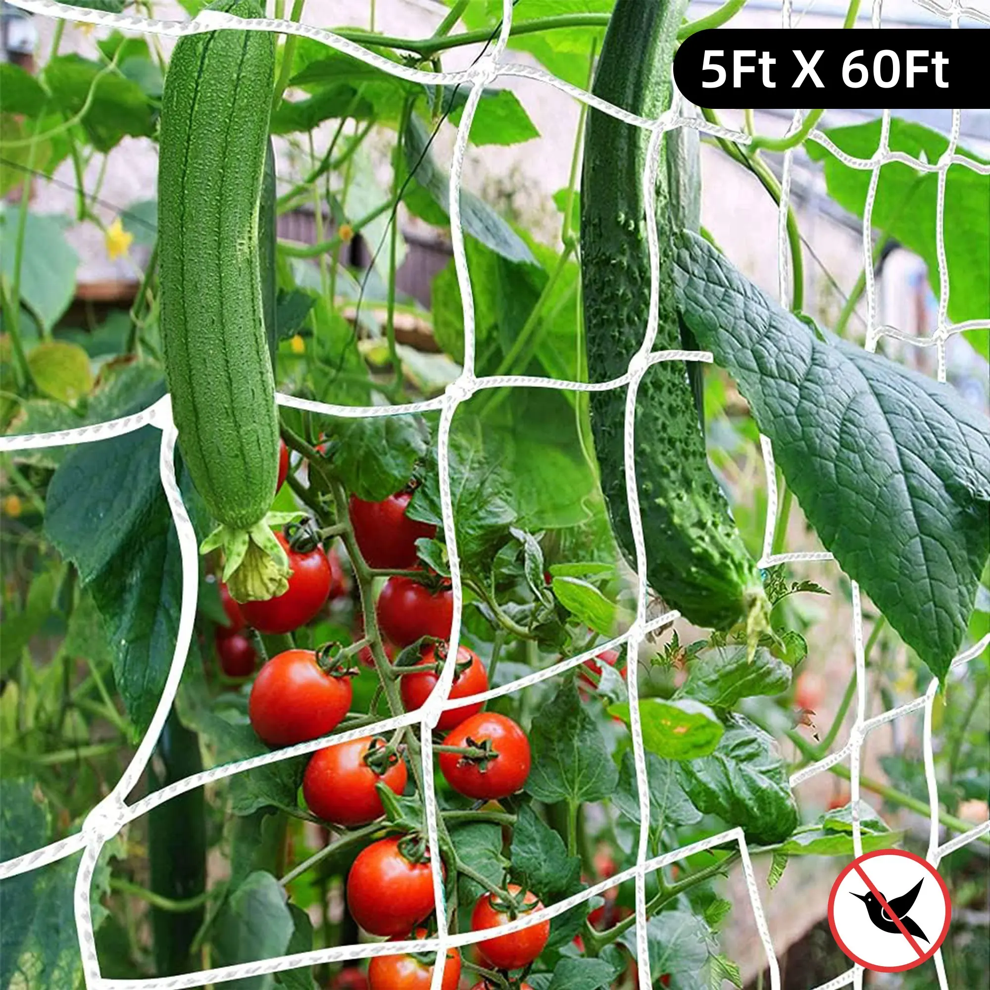 Humwam Heavy Duty Polyester Trellis Netting (5x60ft) - Versatile Reusable Plant Support for Climbing Plants, Beans, Peas, Cucumbers, Flowers, Tomato Trellis, Outdoor Backyard Garden Supplies for Gardeners, Hang on Trees-Walls