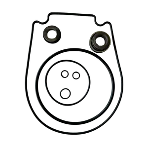Seal and Gasket Replacement Kit - FP Pumps