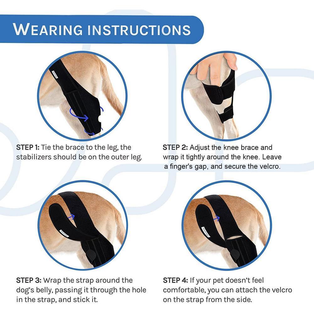 Dog Knee Protector Adjustable Black Dog Back Leg Brace Comfortable Knee Pad For Leg Injury Care Universal Leg Protector For Dog Knee Protector Adjustable Black Dog Back Leg Brace Comfortable Knee Pad For Leg Injury Care Universal Leg Protector For