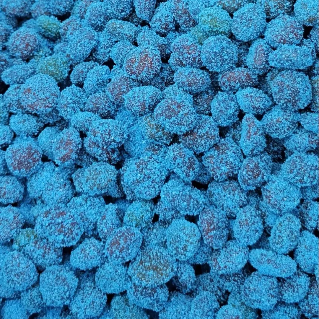 Xtrendy Candies Best Sour Blue Raspberry Gushers - Trending Snack on Tiktok - Candy