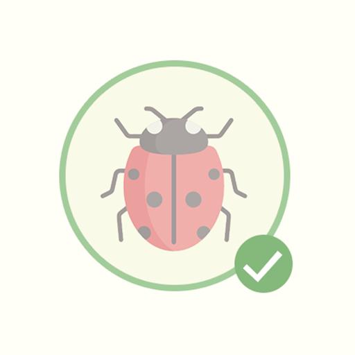 Peperomia Hope 'Peperomia tetraphylla'