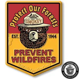 Smokey Bear 'Protect Our Forests' Magnet by Classic Magnets