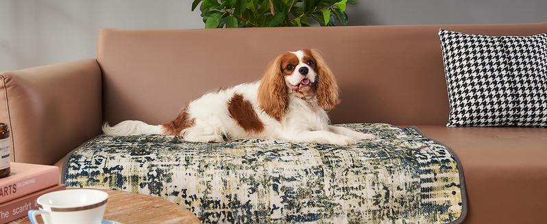 Qeils 36"x41" Washable Puppy Pee Pads | Super Absorbent, Waterproof & Reusable Non-Slip Training Mat for Floor/Crate Pet Supplies Poodle Dogs