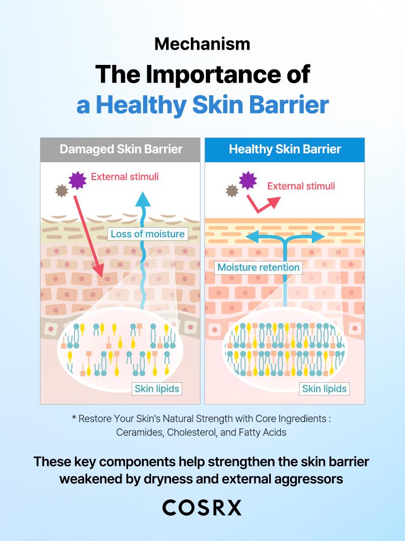 [COSRX Official] The Ceramide Skin Barrier Moisturizer (80ml) | SKIN BARRIER-STRENGTHENING KOREAN MOISTURIZER, FOR DRY, SENSITIVE SKIN Skincare Comfort