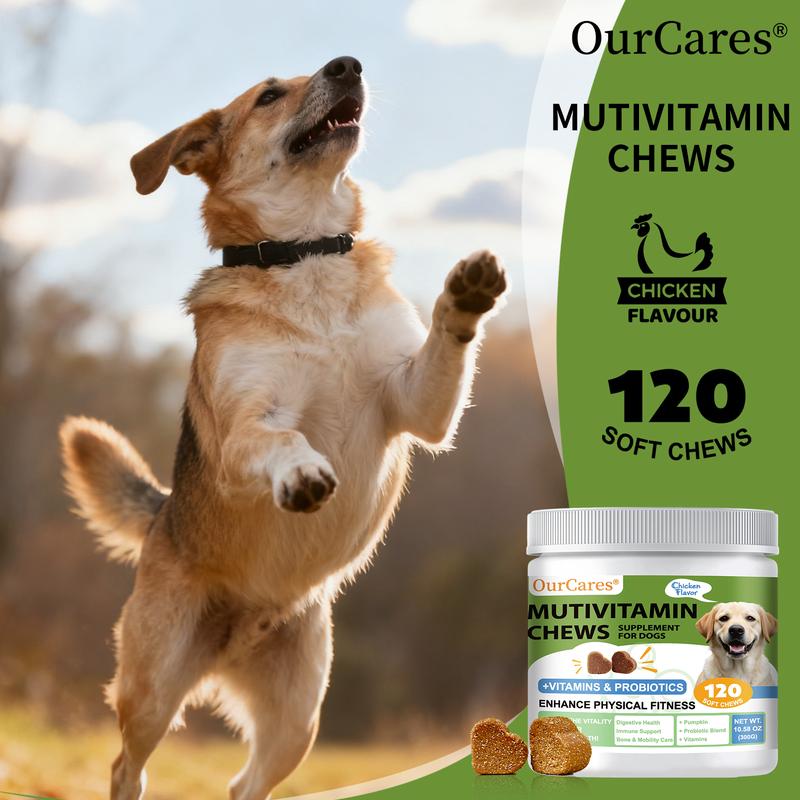 OurCares Multivitamin Chews for Dogs | 120 Soft Chews, Chicken FlavorComplete Daily Nutritional Support, Boosts Immunity, Enhances Skin & Coat, Supports Joint & Digestive Health