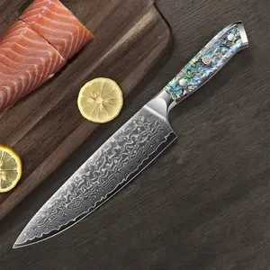 8-Inch Professional Chef's Knife, Japanese Damascus Steel Kitchen Knife, Versatile Multi-Purpose Knife, Ergonomic Abalone Shell and Resin Handle, Gift Boxed