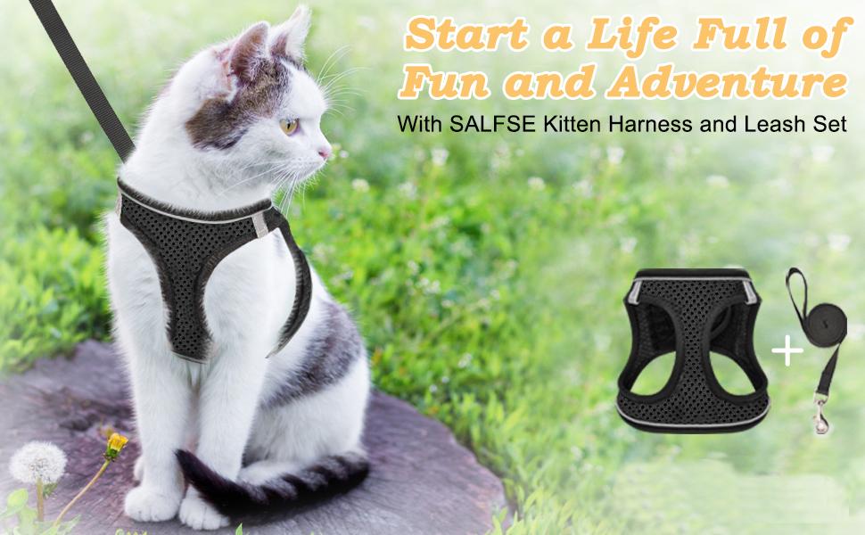 Escape Proof Cat Harness & Leash Adjustable Reflective Soft Mesh Vest for Easy Safe Walks with Leash Included