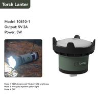 Torch Lantern Module