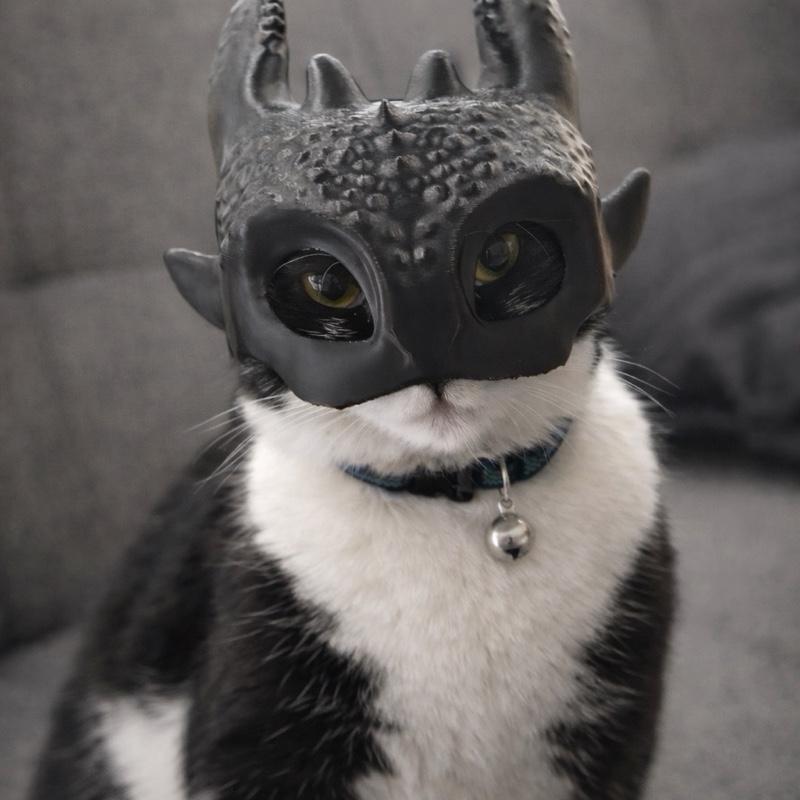 Mini Dragon Cat Mask - Adorable Pet Accessory for Festive Outfits