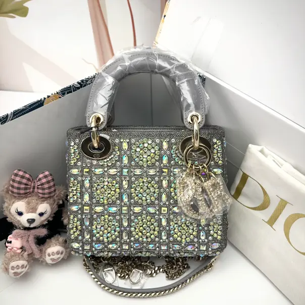 Pre-owned Dior Leather Shoulder Bags 7.8'' R7269 Shoulder Bag C535096730 0130 T1 Chloe