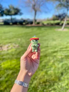 Adventure Turtle Crochet Keychain