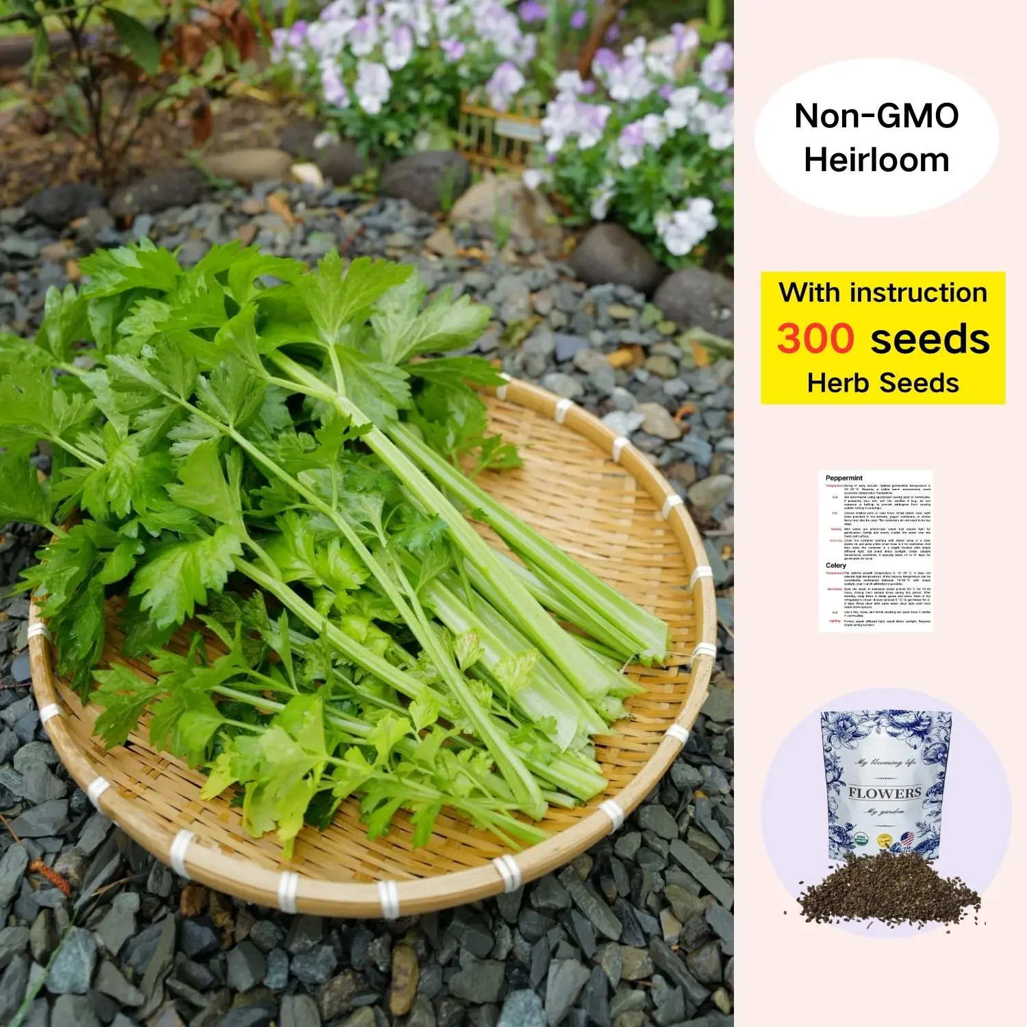 Enhanced Flavor] 300 Premium Tiny Celery Seeds | Easy-to-Grow Herb &  Vegetable for Home Garden, Heirloom, Perennial, Non-GMO - TikTok Shop
