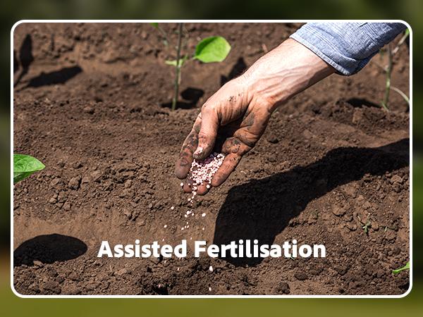 【Flash sale】Electric Weed Puller Tool 21V Battery Powered 2pcs 2000mAh, Heavy Duty 3-Claw Steel Root Weeder Stand-Up Remover Picker Grabber Popper, for Dandelion Lawn Garden Yard EWP001