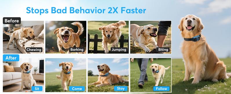 Jugbow Dog Training Collar - 3/4 Mile Dog Shock Collar with Remote for Large Medium Small Dogs, Rechargeable IPX8 Waterproof E-Collar with 99 Blunt Stimulation Levels, Tone or Vibration Mode, LED Light & Security Lock T-100