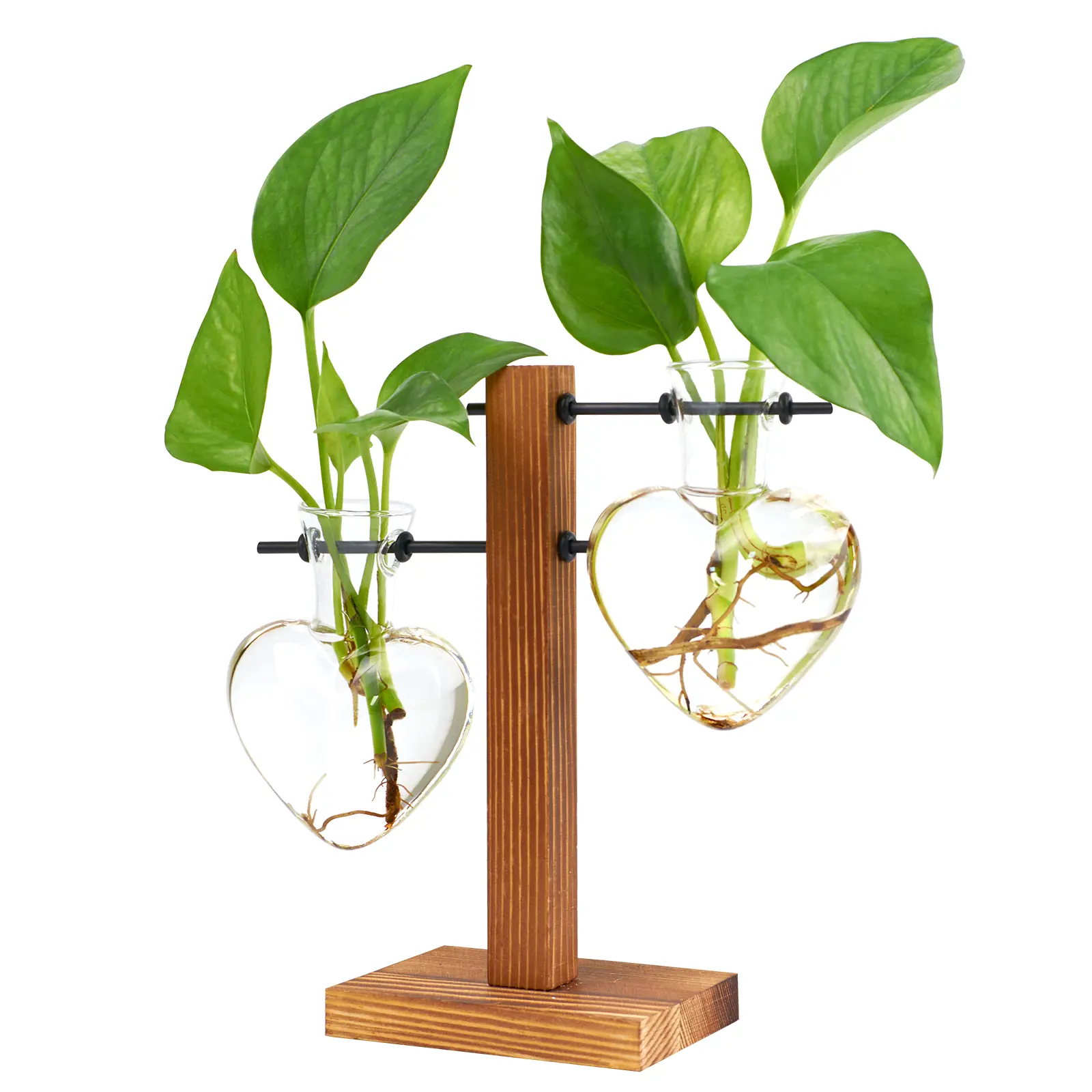 XXXFLOWER Solid Wood Heart-Shaped Compact Single Plant Propagation Station - Indoor Planters, Flower Pots & Planters, Romantic Gift, Gift Box Packaging, Desk Decor, Mother's Day Home Decor