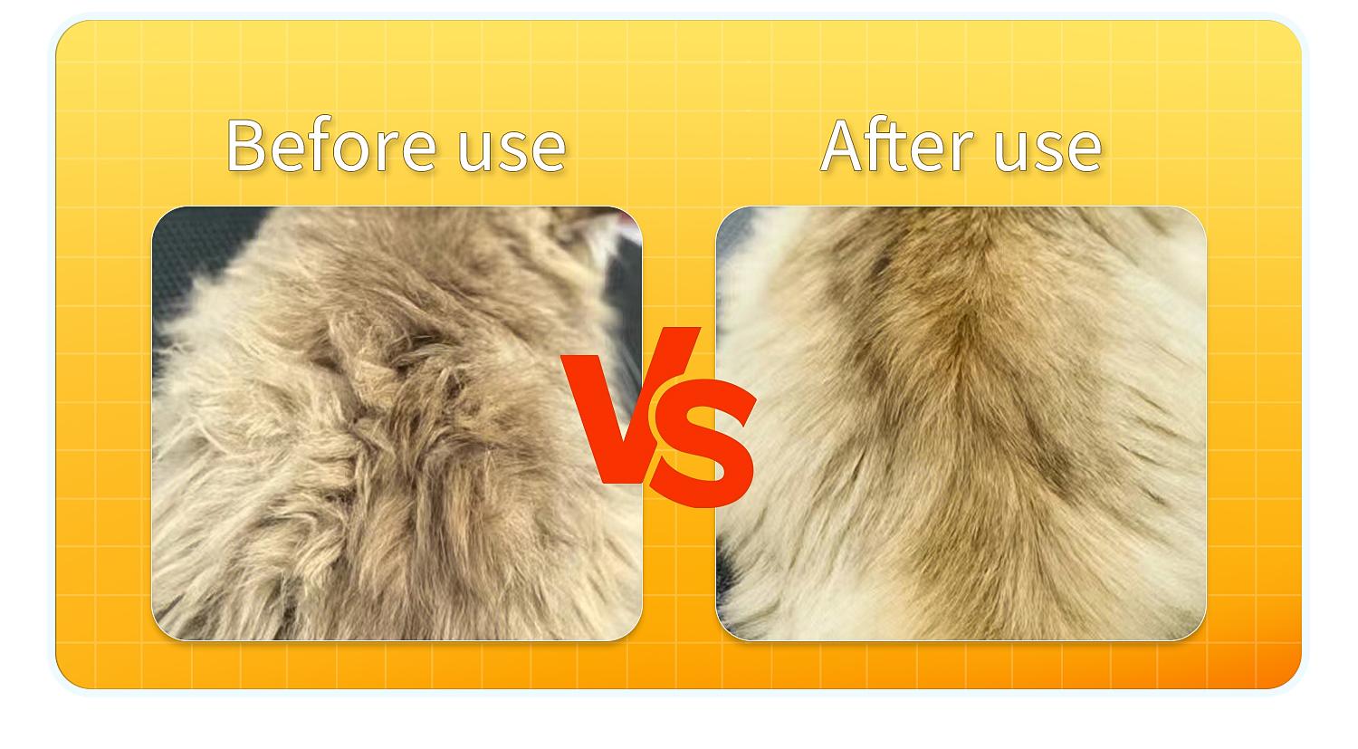 Petterm Upgraded 3 in 1 PET Steam Brush, Spray Hair Removal Comb with Release Button, Anti-Static Fine Spray, Effective for Dogs and Cats